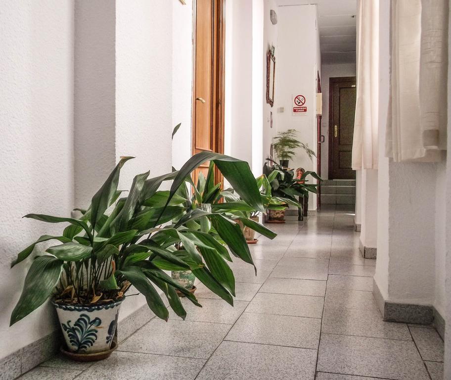 Pension Ciudad Navarro Ramos Granada Kültér fotó